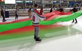 Коньки_01
